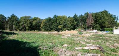 Terrain à Dreuilhe en Ariège (09) de 2594 m² à vendre au prix de 46000€ - 4