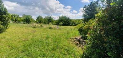 Terrain à Ruelle-sur-Touvre en Charente (16) de 1309 m² à vendre au prix de 85000€ - 3