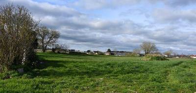 Terrain à La Celle-Saint-Avant en Indre-et-Loire (37) de 7800 m² à vendre au prix de 324500€ - 1