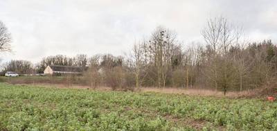 Terrain à Sorel-en-Vimeu en Somme (80) de 9470 m² à vendre au prix de 153000€ - 3