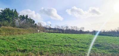 Terrain à Argol en Finistère (29) de 875 m² à vendre au prix de 63500€ - 1