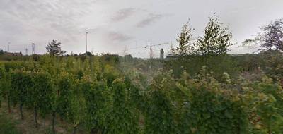 Terrain à Wintzenheim en Haut-Rhin (68) de 2500 m² à vendre au prix de 385000€ - 3