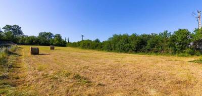 Terrain à Domérat en Allier (03) de 5200 m² à vendre au prix de 75000€ - 3