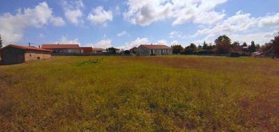 Terrain à Saint-Cyr-de-Favières en Loire (42) de 877 m² à vendre au prix de 59000€ - 3