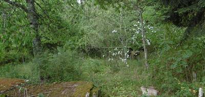 Terrain à Thiers en Puy-de-Dôme (63) de 1020 m² à vendre au prix de 42000€ - 3