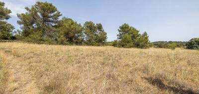 Terrain à Malves-en-Minervois en Aude (11) de 8952 m² à vendre au prix de 30000€ - 3
