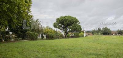 Terrain à Beaumont-de-Lomagne en Tarn-et-Garonne (82) de 1238 m² à vendre au prix de 29000€ - 2