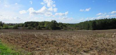Terrain à Fossemagne en Dordogne (24) de 5435 m² à vendre au prix de 35000€ - 1