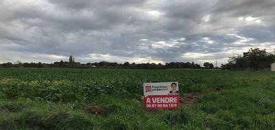 Terrain à Beaulieu-sur-Loire en Loiret (45) de 2390 m² à vendre au prix de 24000€ - 4