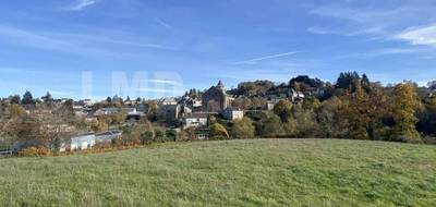 Terrain à Rieupeyroux en Aveyron (12) de 9842 m² à vendre au prix de 106500€ - 1