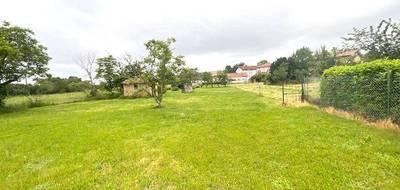 Terrain à Castres en Tarn (81) de 2645 m² à vendre au prix de 95000€ - 1