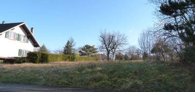 Terrain à Sarreguemines en Moselle (57) de 779 m² à vendre au prix de 79005€ - 4