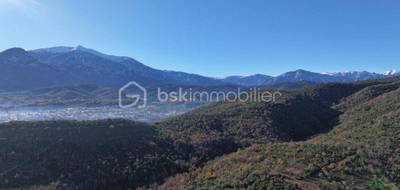 Terrain à Catllar en Pyrénées-Orientales (66) de 619 m² à vendre au prix de 98000€ - 3