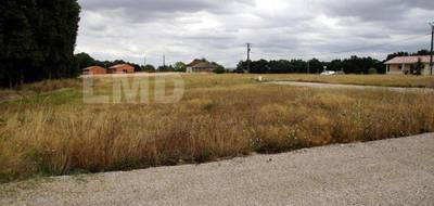 Terrain à Montdurausse en Tarn (81) de 815 m² à vendre au prix de 53000€ - 1