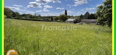 Terrain à Châteauneuf-sur-Cher en Cher (18) de 3065 m² à vendre au prix de 32000€ - 4