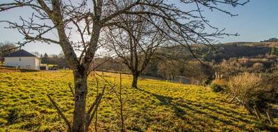 Terrain à Sainte-Fortunade en Corrèze (19) de 2000 m² à vendre au prix de 35000€ - 3