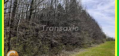 Terrain à Mézières-en-Brenne en Indre (36) de 16433 m² à vendre au prix de 49900€ - 2