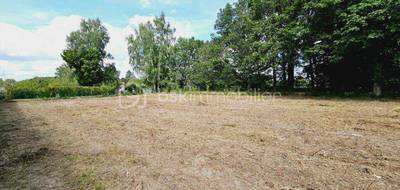 Terrain à Vrigny en Loiret (45) de 7969 m² à vendre au prix de 49990€ - 2