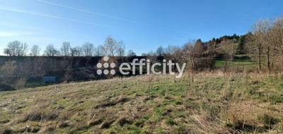 Terrain à Clavières en Cantal (15) de 1497 m² à vendre au prix de 29940€ - 2