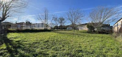 Terrain à Albi en Tarn (81) de 449 m² à vendre au prix de 52320€ - 2