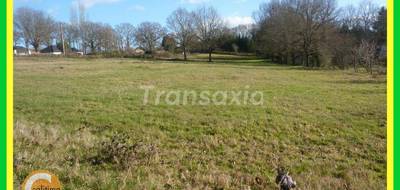 Terrain à Vallon-en-Sully en Allier (03) de 9840 m² à vendre au prix de 64000€ - 2