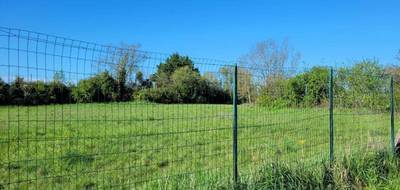 Terrain à Castelnau Montratier-Sainte Alauzie en Lot (46) de 1000 m² à vendre au prix de 30500€ - 4