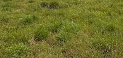 Terrain à Portets en Gironde (33) de 1200 m² à vendre au prix de 159000€