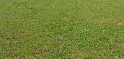 Terrain à La Barre-de-Monts en Vendée (85) de 469 m² à vendre au prix de 92400€