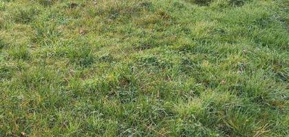 Terrain à La Plaine-sur-Mer en Loire-Atlantique (44) de 861 m² à vendre au prix de 186100€