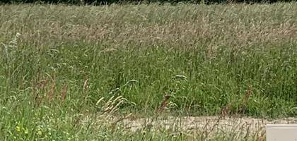 Terrain à Saint-Jean-de-Liversay en Charente-Maritime (17) de 367 m² à vendre au prix de 62300€