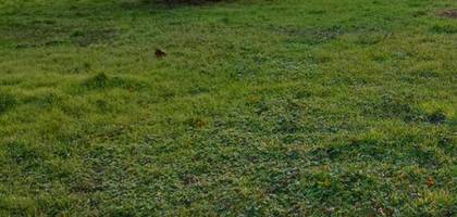 Terrain à Pornic en Loire-Atlantique (44) de 510 m² à vendre au prix de 248000€