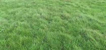 Terrain à Aufferville en Seine-et-Marne (77) de 800 m² à vendre au prix de 35000€