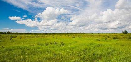 Terrain à Le Boulay en Indre-et-Loire (37) de 2000 m² à vendre au prix de 60000€