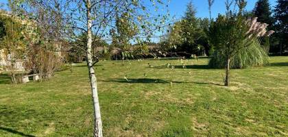 Terrain à Baron en Gironde (33) de 565 m² à vendre au prix de 82000€