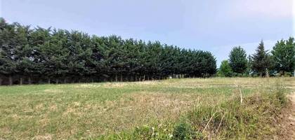 Terrain à Neuville-sur-Brenne en Indre-et-Loire (37) de 1210 m² à vendre au prix de 59000€