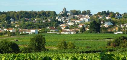 Terrain à Orée d'Anjou en Maine-et-Loire (49) de 489 m² à vendre au prix de 89000€