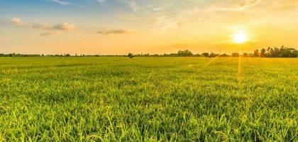 Terrain à La Barre-de-Monts en Vendée (85) de 416 m² à vendre au prix de 79400€