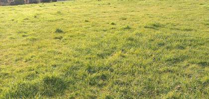 Terrain à La Plaine-sur-Mer en Loire-Atlantique (44) de 1286 m² à vendre au prix de 189380€