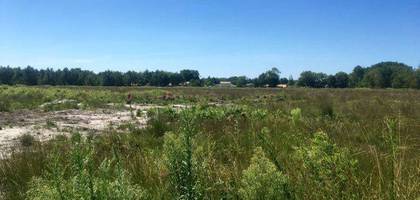 Terrain à Lugos en Gironde (33) de 1052 m² à vendre au prix de 95000€