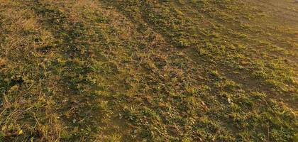 Terrain à La Haie-Fouassière en Loire-Atlantique (44) de 320 m² à vendre au prix de 134998€