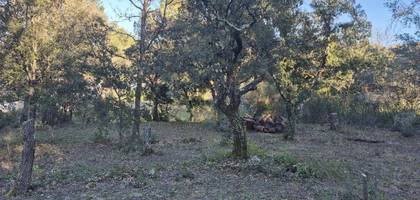 Terrain à Saint-Maximin-la-Sainte-Baume en Var (83) de 2150 m² à vendre au prix de 225000€