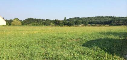 Terrain à Azay-le-Rideau en Indre-et-Loire (37) de 469 m² à vendre au prix de 64000€