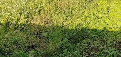 Terrain à Saint-Brevin-les-Pins en Loire-Atlantique (44) de 915 m² à vendre au prix de 179900€