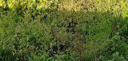 Terrain à Bouaye en Loire-Atlantique (44) de 486 m² à vendre au prix de 133000€