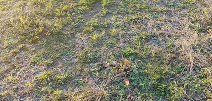 Terrain à Saint-Michel-Chef-Chef en Loire-Atlantique (44) de 628 m² à vendre au prix de 169900€
