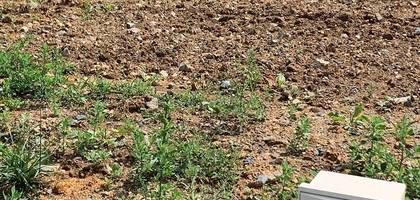 Terrain à Saint-Brevin-les-Pins en Loire-Atlantique (44) de 338 m² à vendre au prix de 99900€