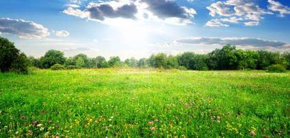 Terrain à Cormery en Indre-et-Loire (37) de 500 m² à vendre au prix de 65000€