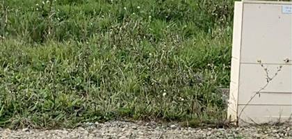 Terrain à Pornic en Loire-Atlantique (44) de 470 m² à vendre au prix de 200484€
