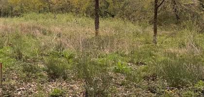 Terrain à La Brède en Gironde (33) de 1200 m² à vendre au prix de 249000€