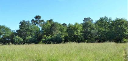 Terrain à Camblanes-et-Meynac en Gironde (33) de 800 m² à vendre au prix de 250000€